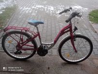 Rower damka firmy Romet
