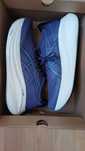 Asics Nimbus 27 rozmiar 45 nowe