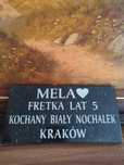 Nagrobek dla psa i kota