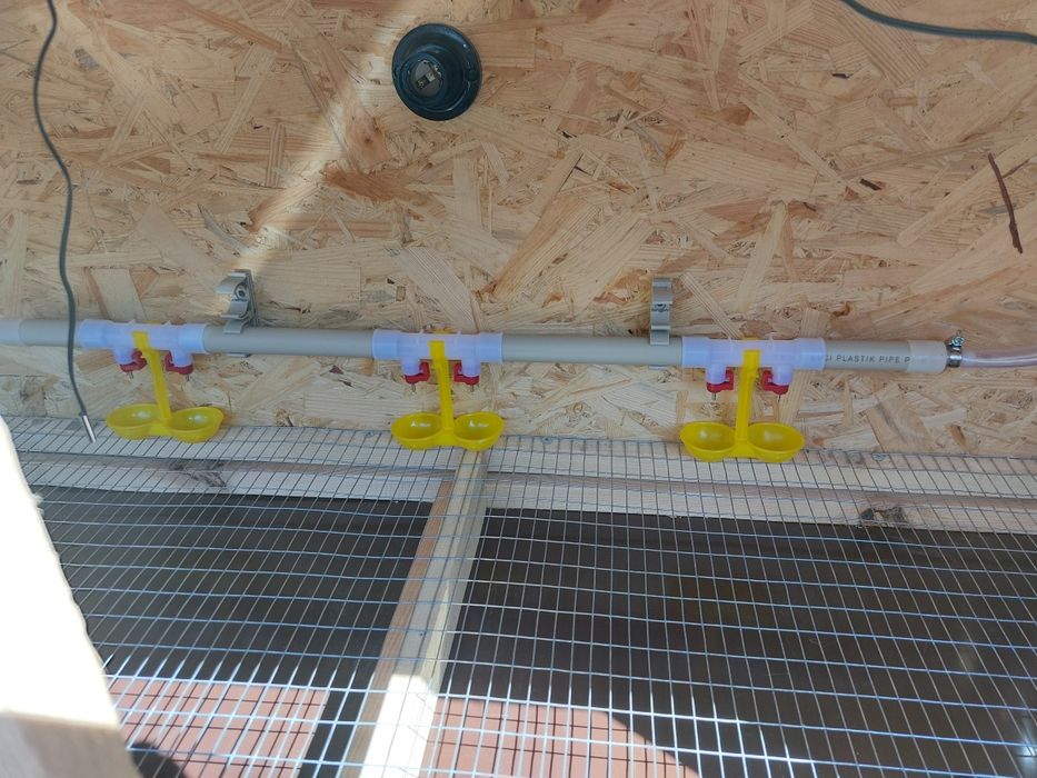 Пропоную брудер для птиці