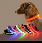 Coleiras led para o seu Patudo!