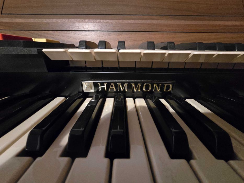 Organy Hammond stage II rhythm