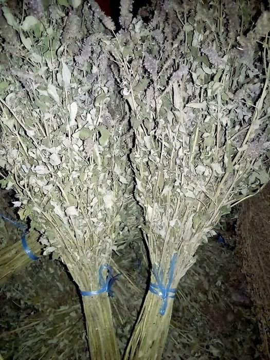 Мята ,веник для бани