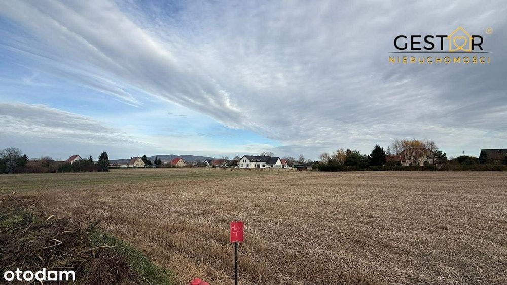 Dwie Działki | Uciechów | Ul. Bławatna | Nr 884/1 I 88/2