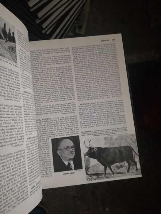 Lote 31 Collier's encyclopedia