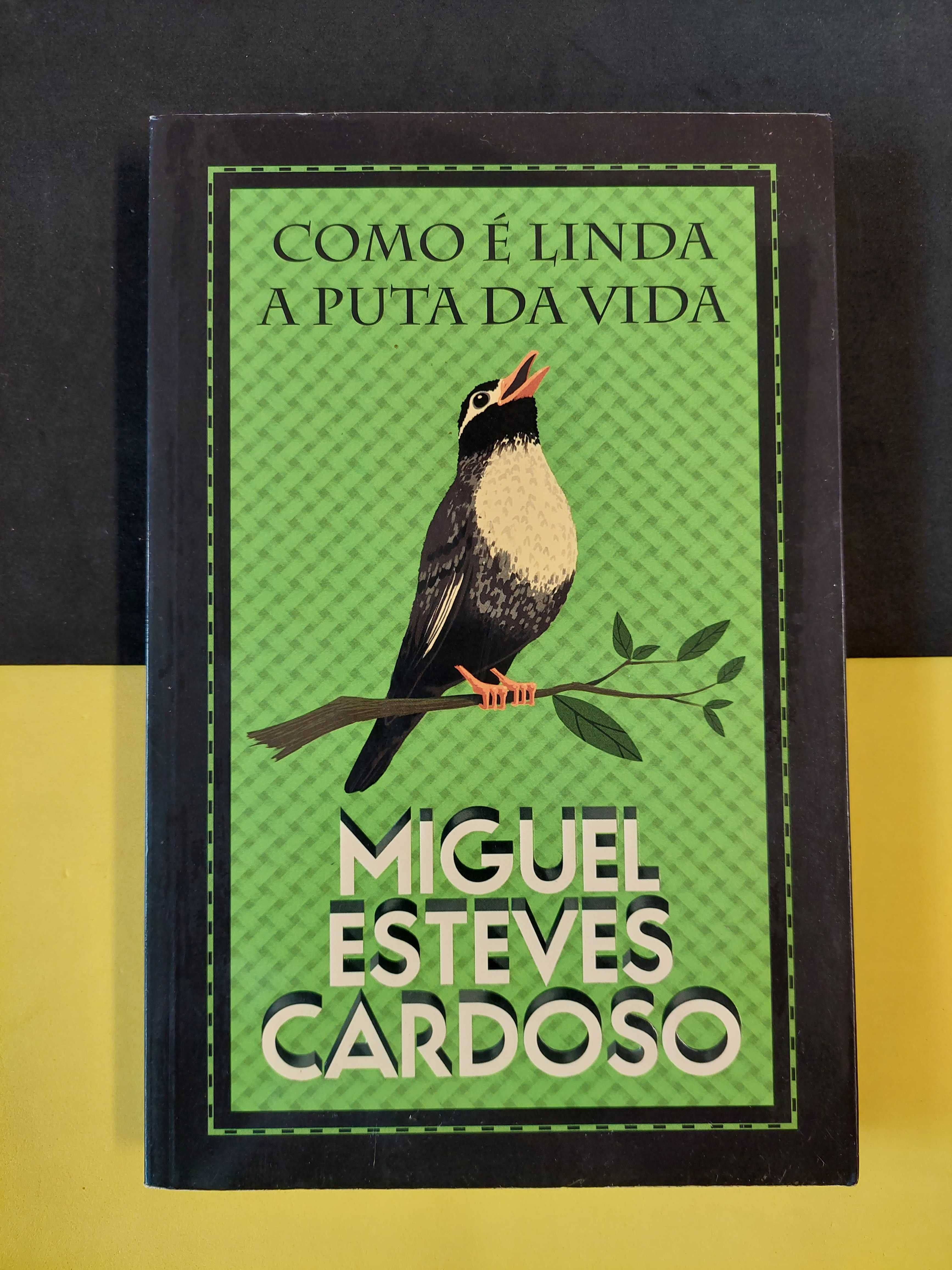 Miguel Esteves Cardoso - Como é linda a puta da vida