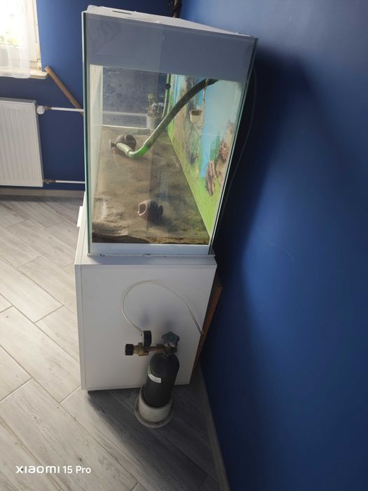 Akwarium Aquael Glossy White 260 l