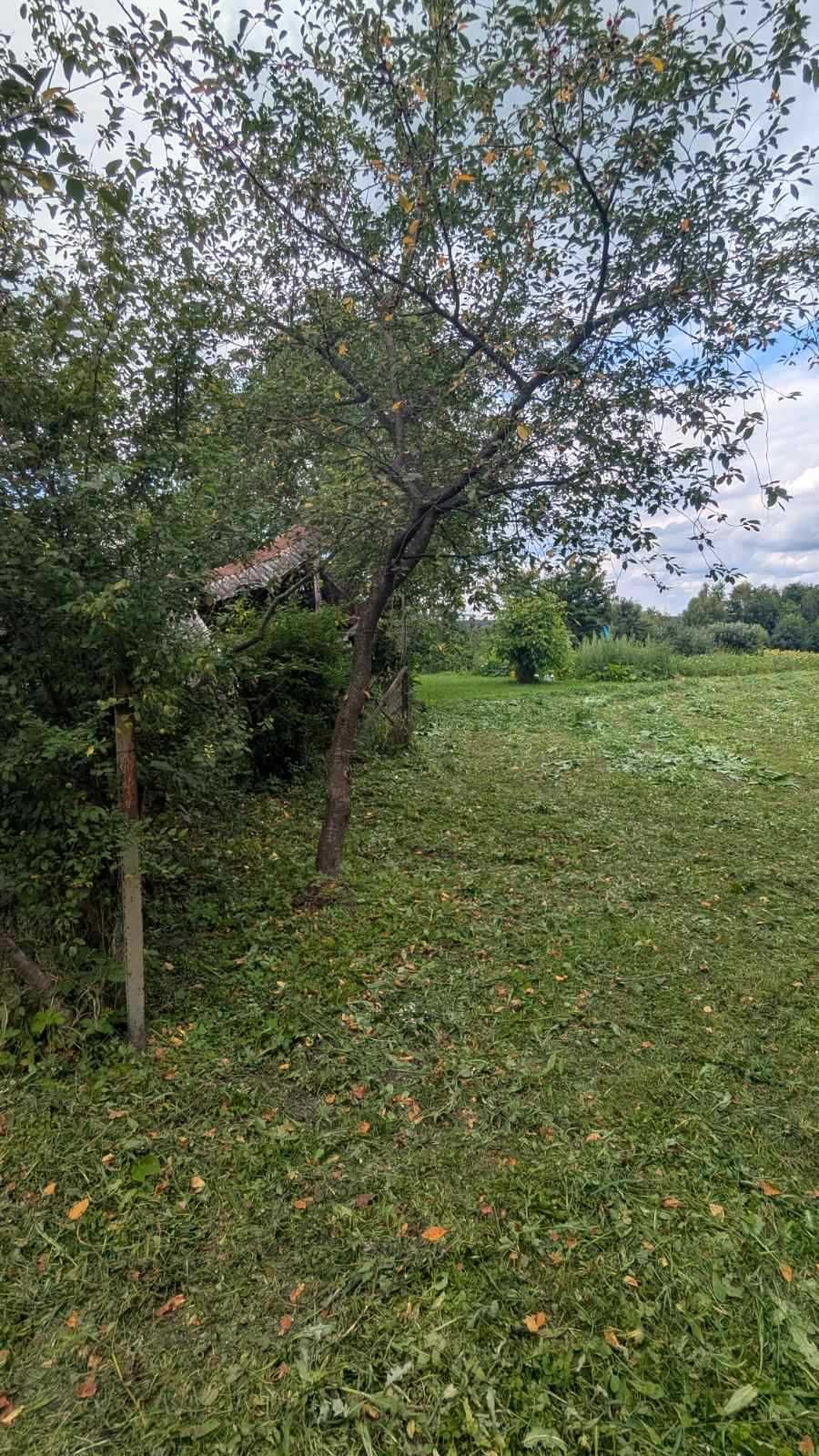 будинок та земельна ділянка 19 сот., с. Великосілки
