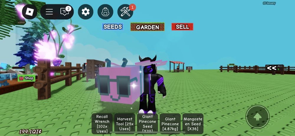 Єнот / Raccoon / Pets Grow a Garden Roblox