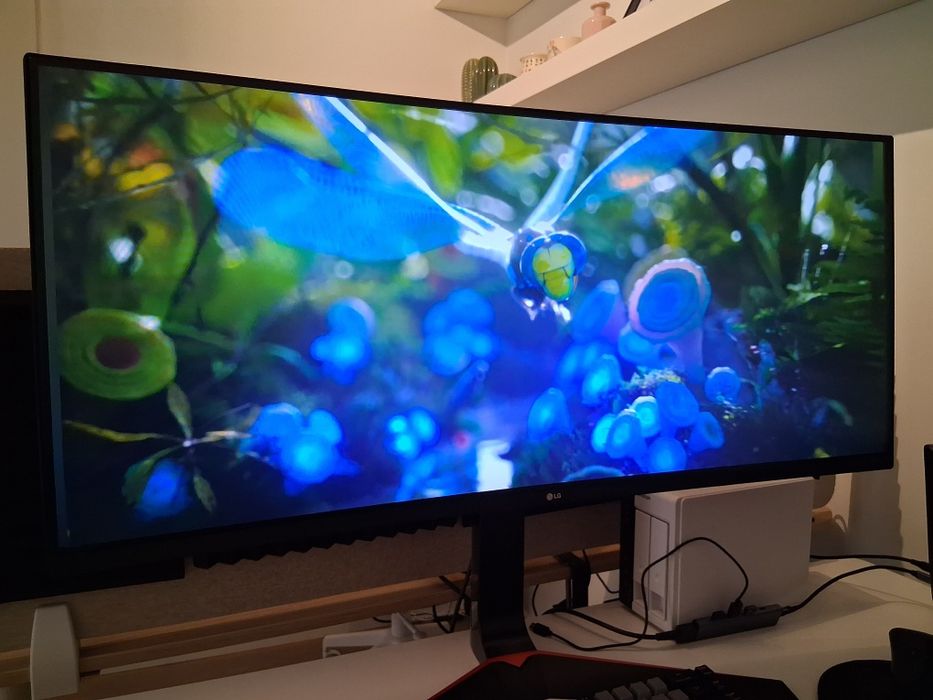 LG 34" Ultrawide Monitor
