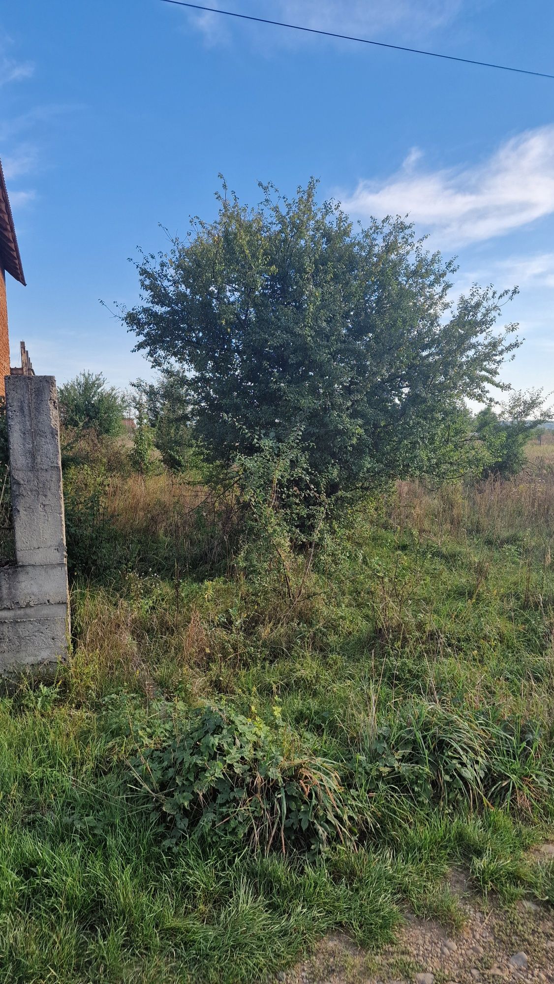 Земельна ділянка 0.10 га с.Ільниця, урочище Терники