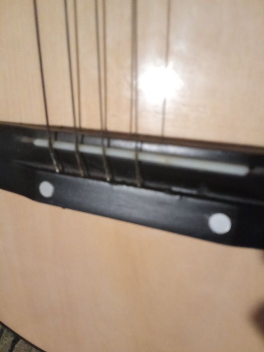 Viola seis cordas