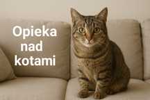 Opieka nad zwierzętami