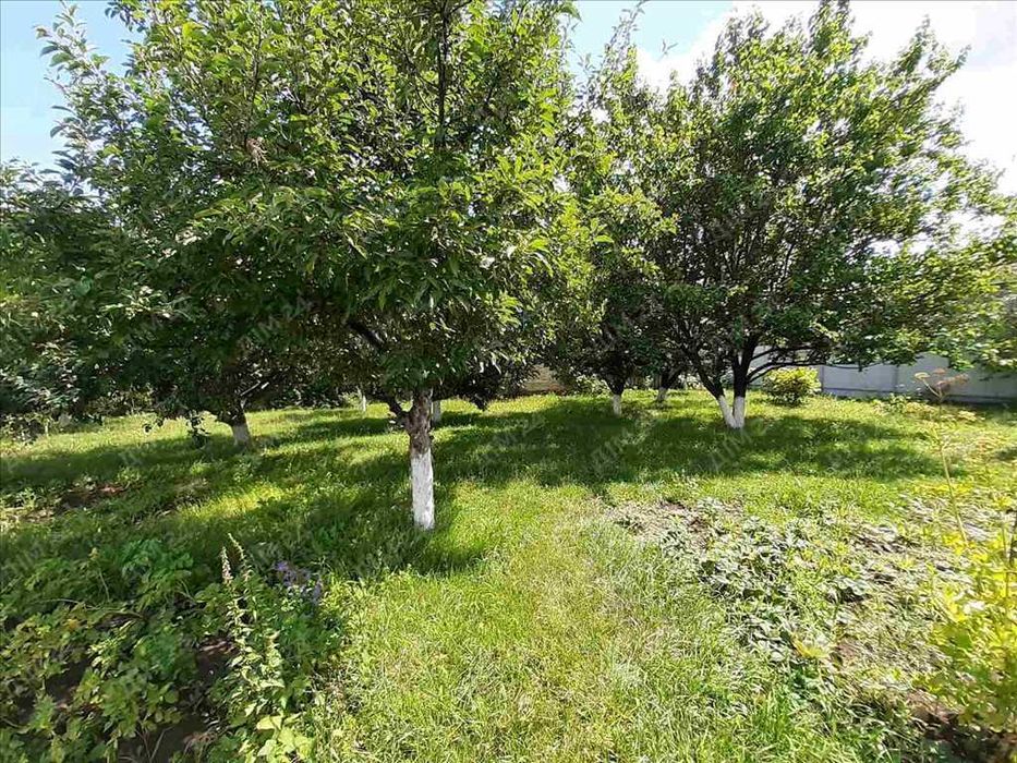 Будинок на два входи. Заходь та живи!