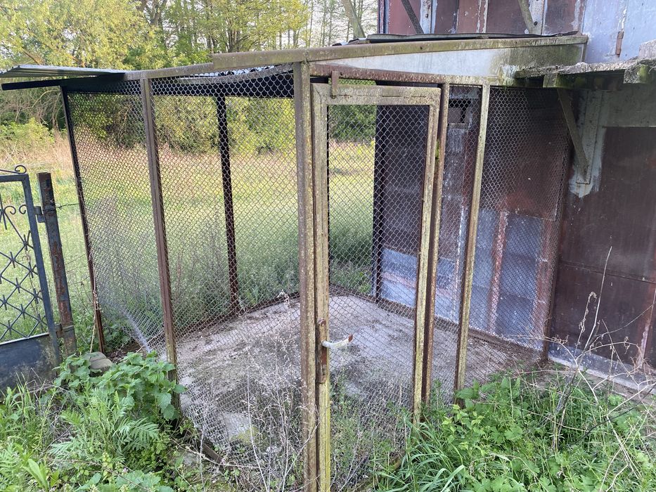 Oddam gołębnik za darmo