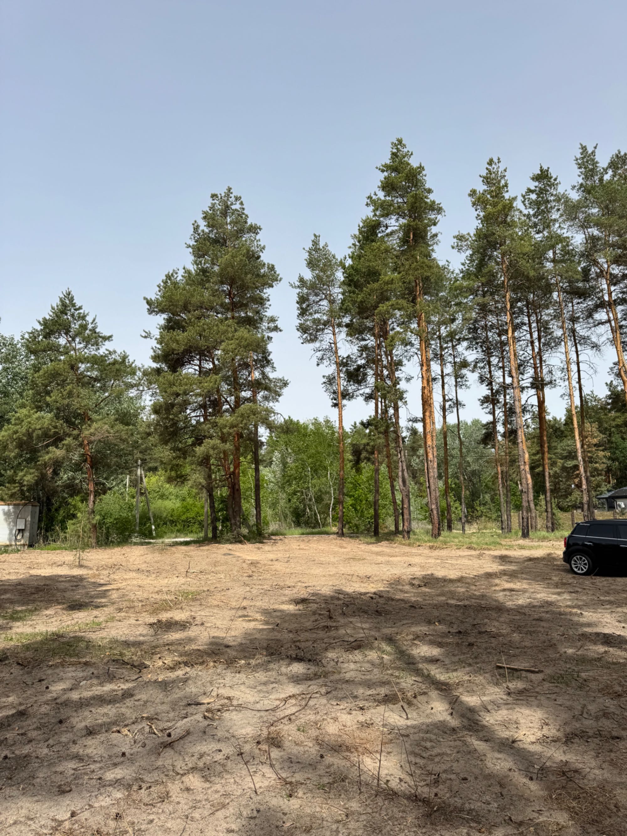 A-Frame в сосновом лесу, Курорт Песчанка.
