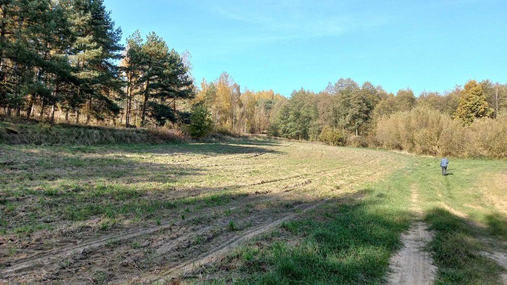 Działka budowlana, Węgiersk