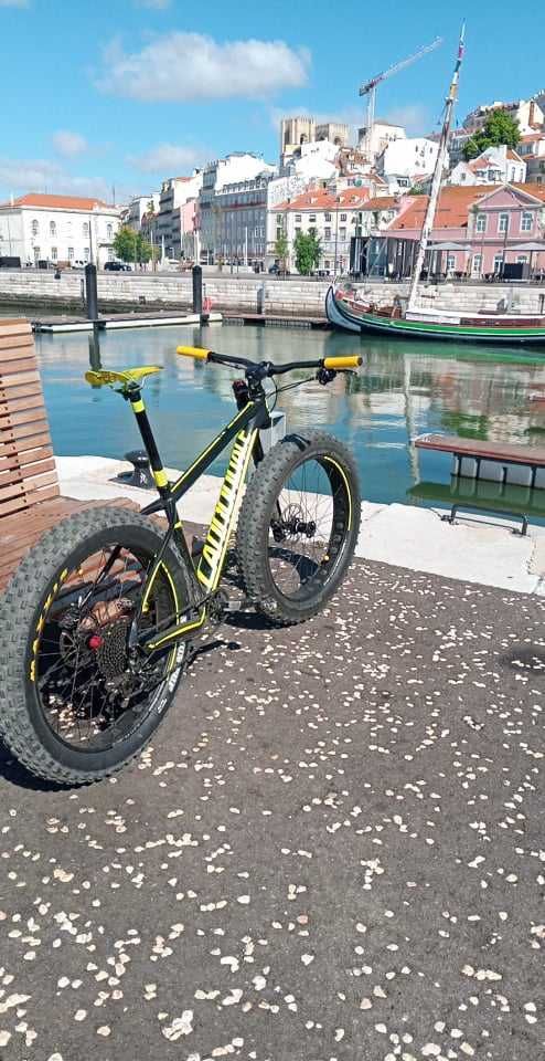 cannondale fat bike
