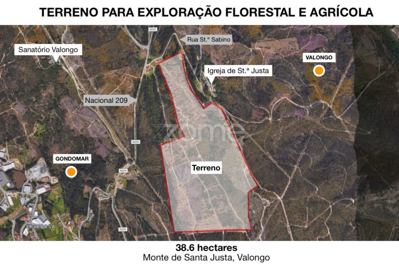 Terreno para exploração florestal e agrícola - Santa Justa, Valongo