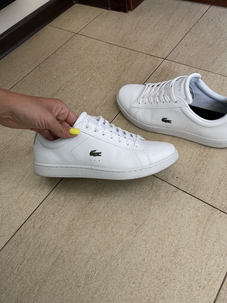 Buty snicersy Lacoste oryginalne