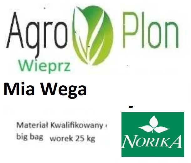 Mia Wega sadzeniaki kwalifikat
