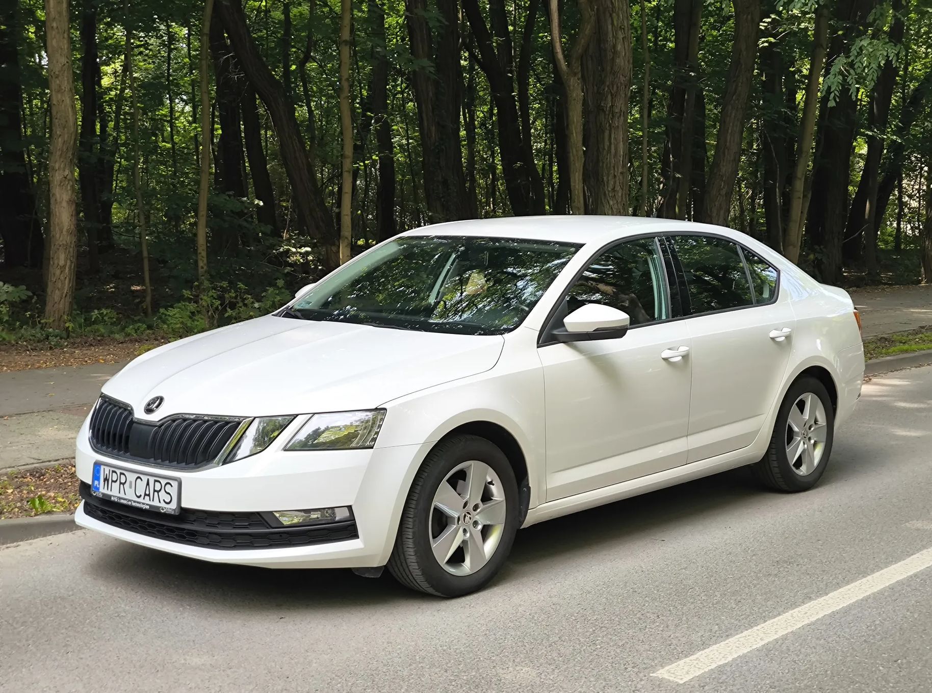 Skoda Octavia Polski Salon, 1 właściciel, 100% bezwypadkowy