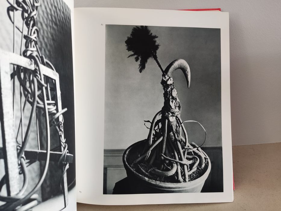 Les Sculptures de Picasso (Esculturas de Picasso) Werner Spies, 1971