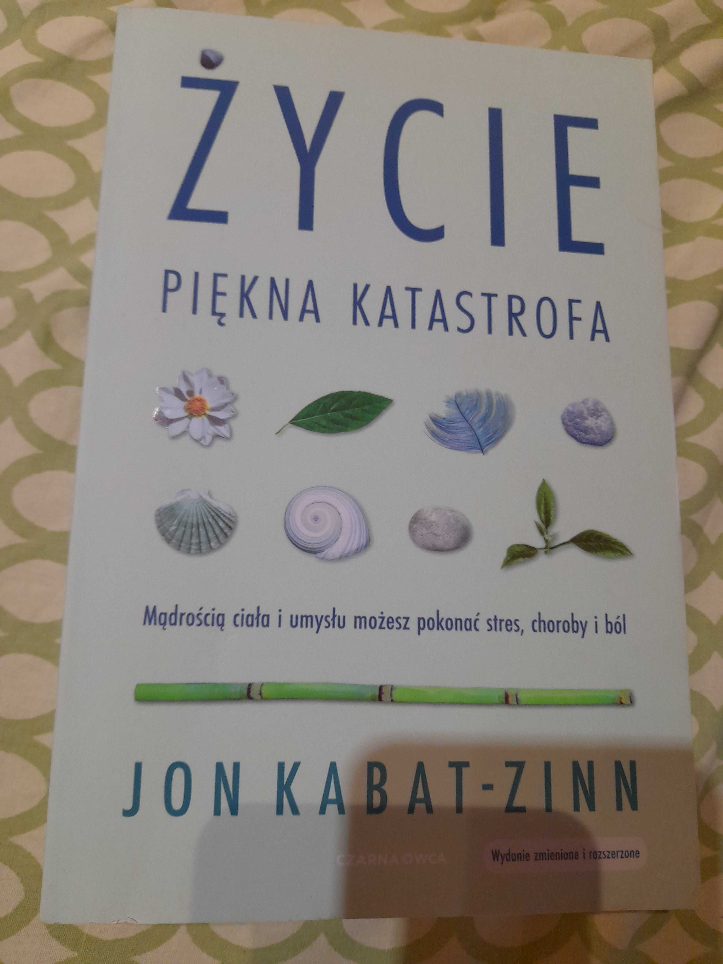 Zycie piekna katastrofa