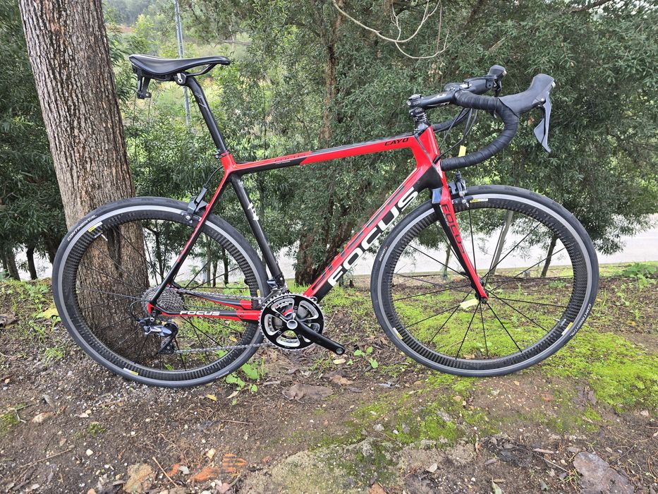 Focus cayo L ultegra 11v e cosmic