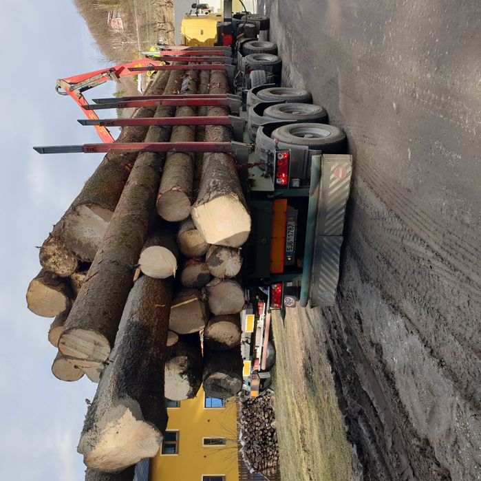 Świerk posusz suchar kornik Kłoda Dłużyca wałki drewno drzewo