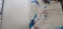 Livro Madonna Sex