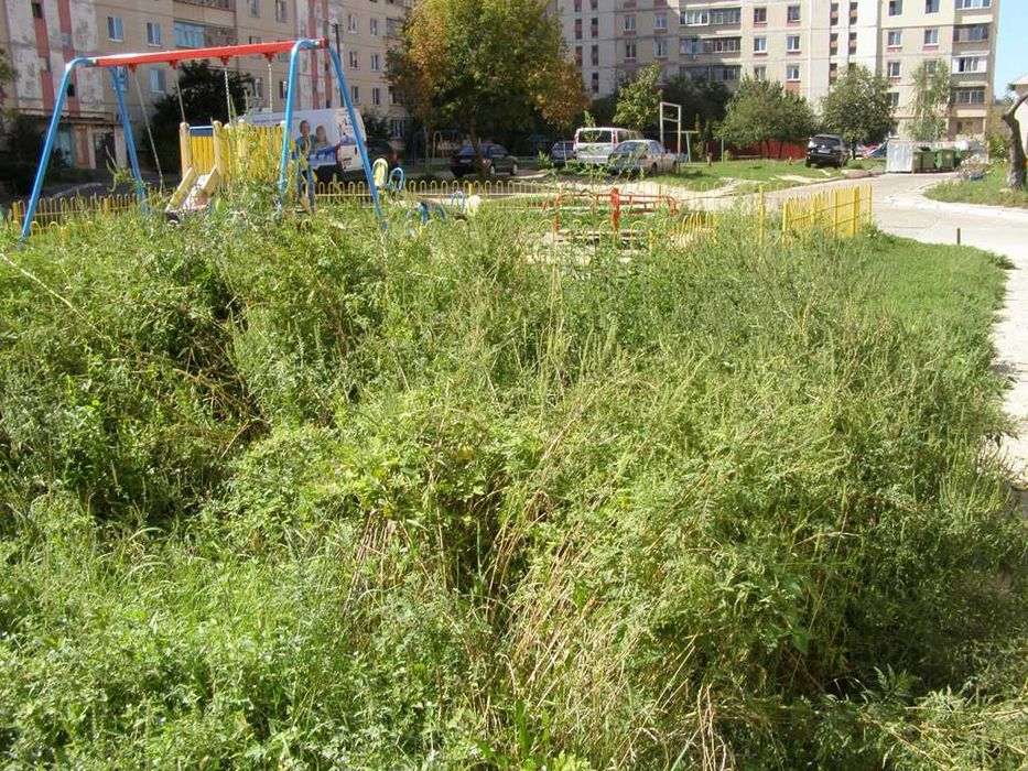 Покос дикої трави, бур'янів, амброзії тощо.