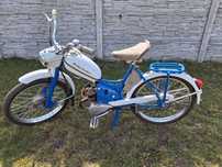Komar sztywniak 68r.