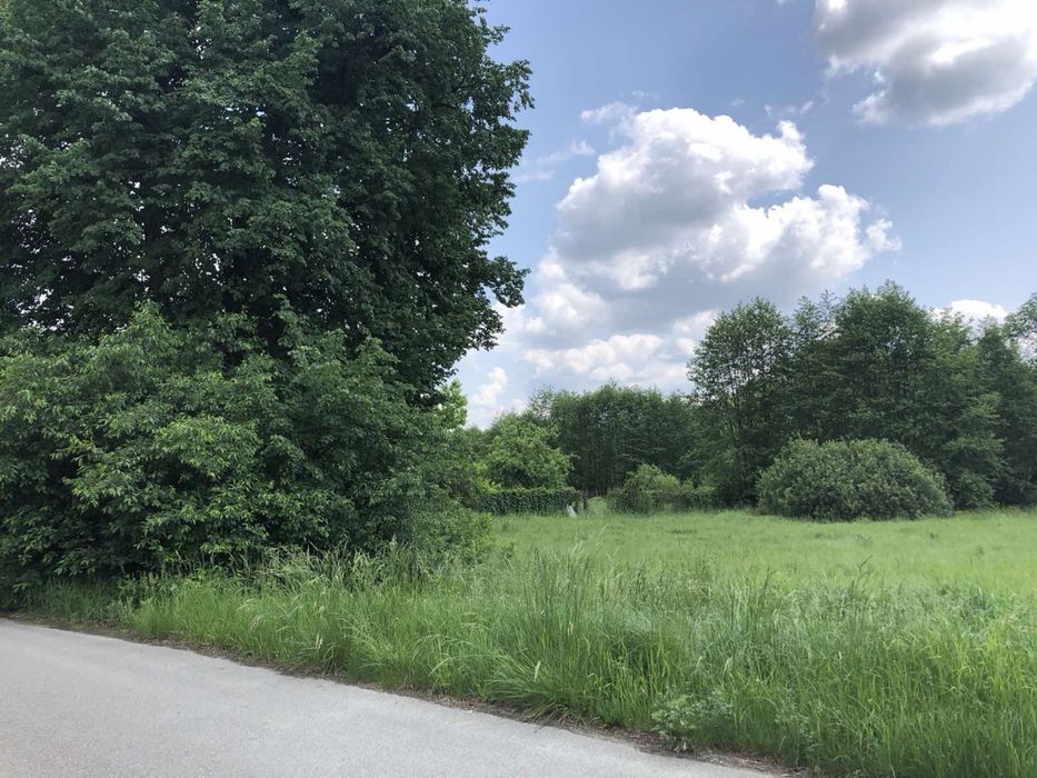 Продається ділянка під забудову в с. Новоселиця