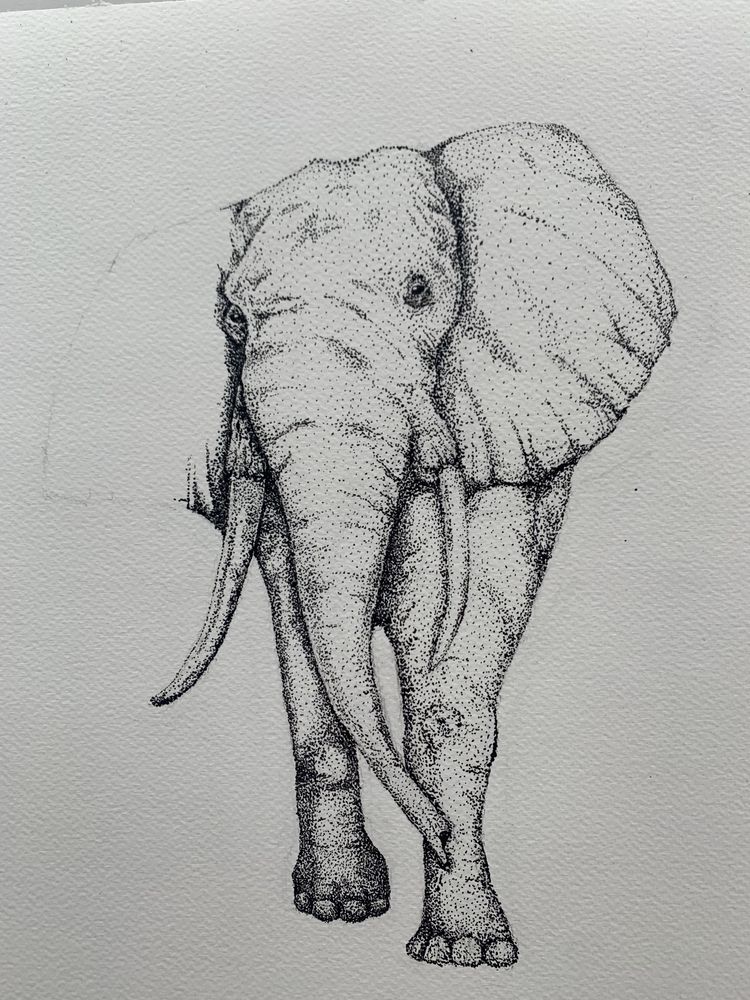 Grafika piórko atrament rękodzieło rysunek 30 x 40
