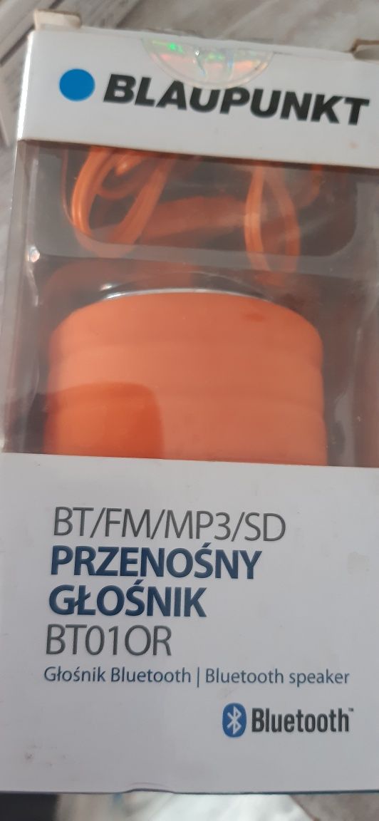 Głośniki bezprzewodowe Blaupunkt oraz Soundclip. Nowe