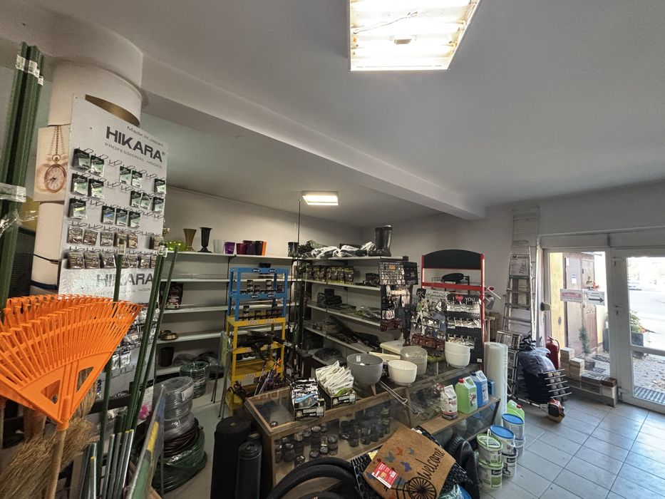 Wynajmę lokal w centrum Gołuchowa pod działalność gospodarczą