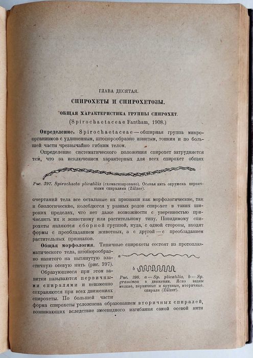 Эпштейн Г.В. Патогенные простейшие, спирохеты и грибки. 1931.