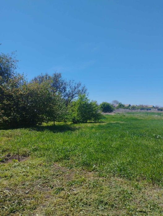 Продам будинок з великою ділянкою в Обухівці біля лісу