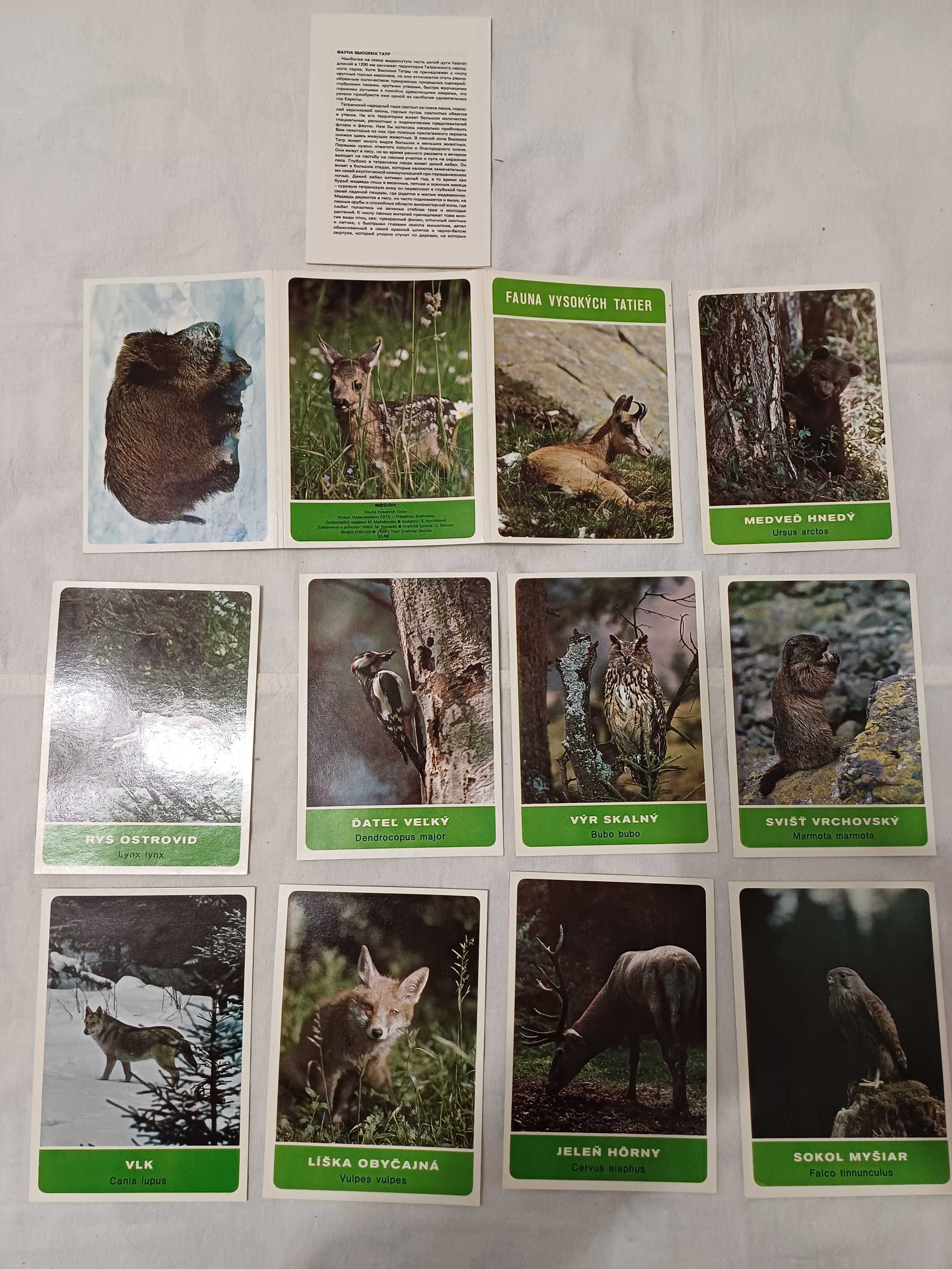 Коллекционерам: Наборы открыток Животные, 80-е годы ХХ века