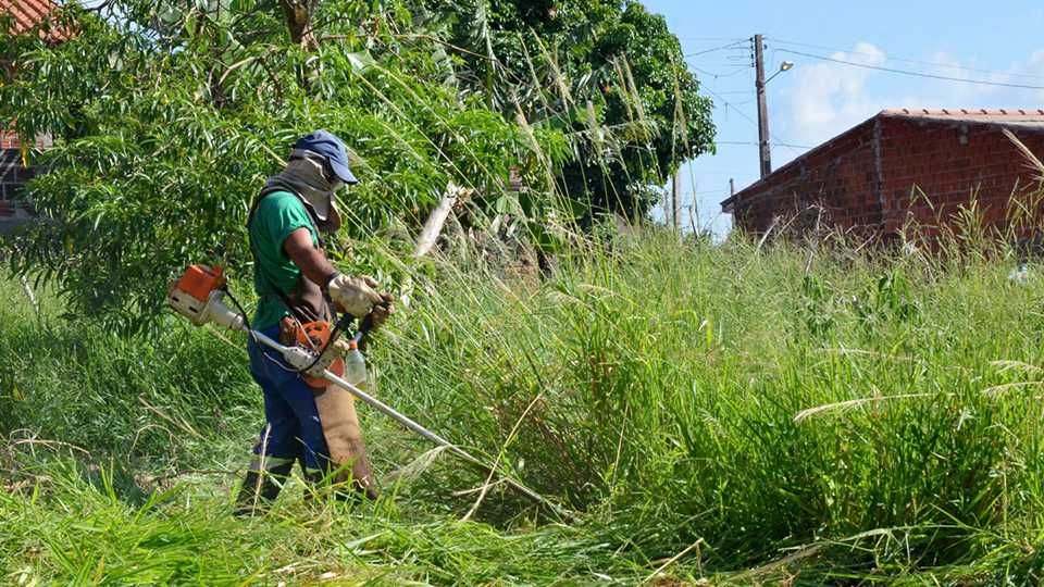 Faço Limpeza de Terrenos, matas e jardim