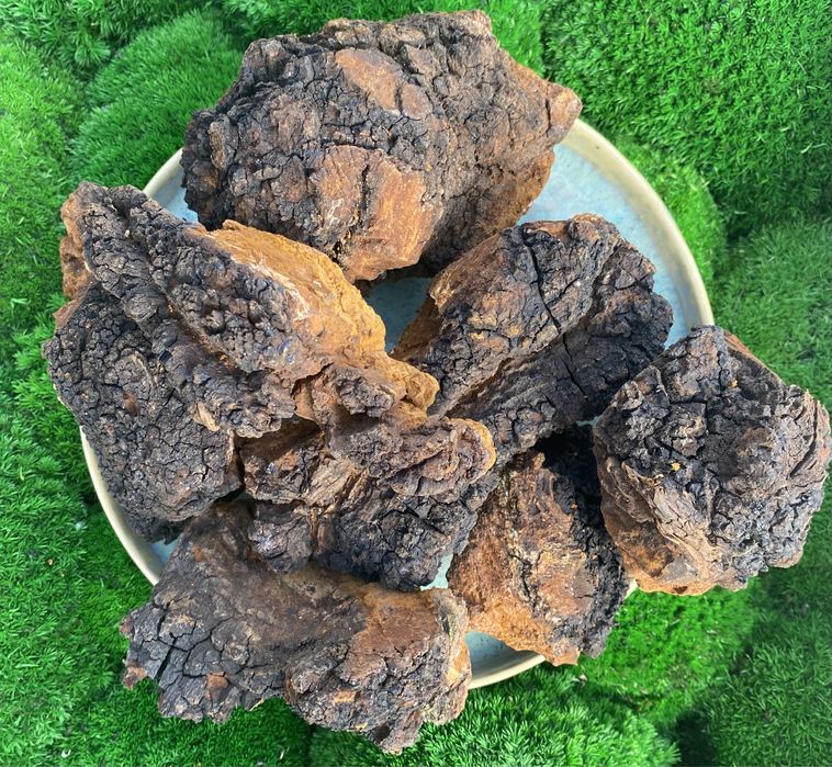 Чага, гриб чага, сушена, березова чага