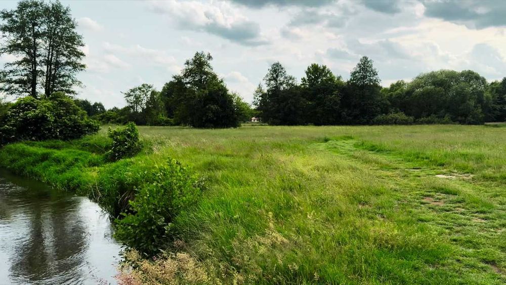 Sprzedam ziemię rolną 5400 m², Doleck, gm. Nowy Kawęczyn, woj. łódzkie
