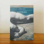 Antilha de Amândio Reis - poesia portuguesa