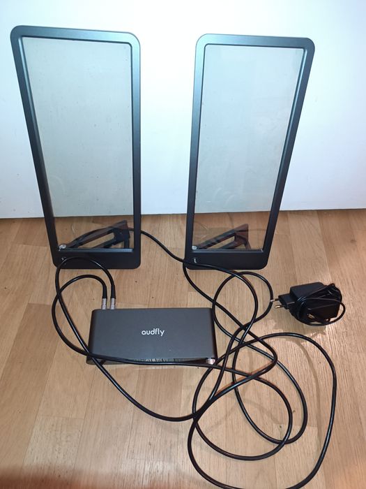 Ультрадирективні динаміки Спрямований динамік Focusond Duo Clear Glass