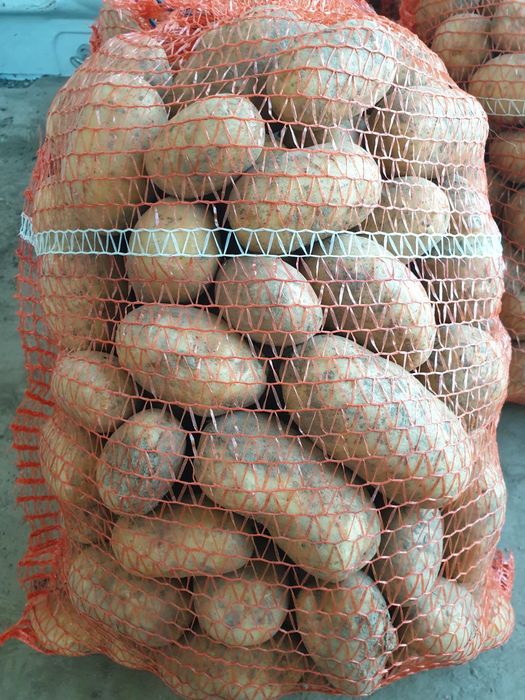 Ziemniaki vineta Queen Anna 15 kg