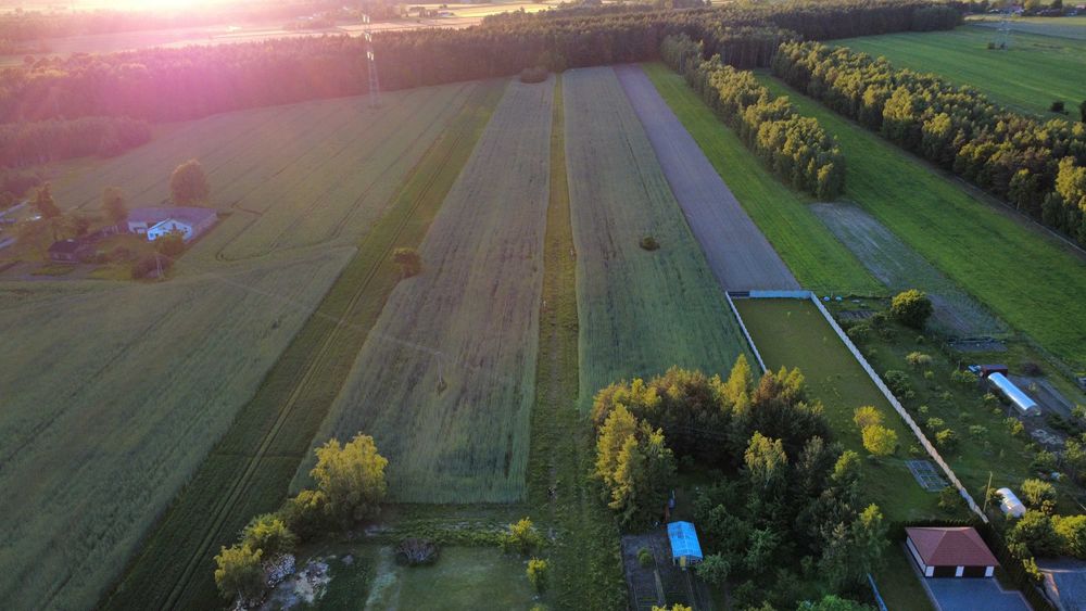 Sprzedam działki budowlane, zielona, spokojna okolica / Przanowice