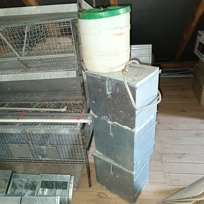 Кроляча ферма з поїлками