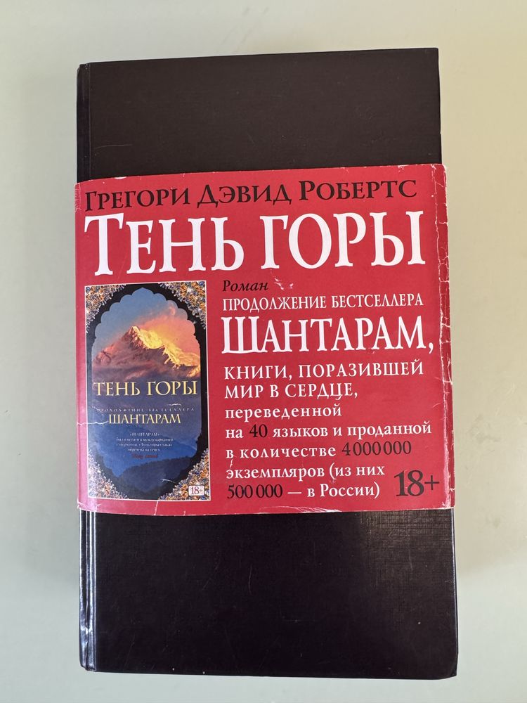 Книга «Тень горы» Грегорі Девід Робертс