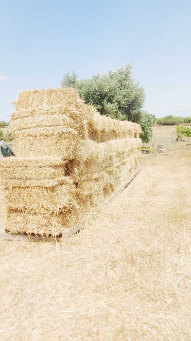 Fardos de palha de erva
